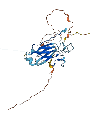 GUSBP11 3D structure