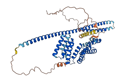 KLC3 3D structure