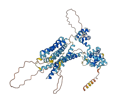 SLC39A4 3D structure
