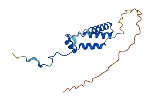 C22orf39 3D structure