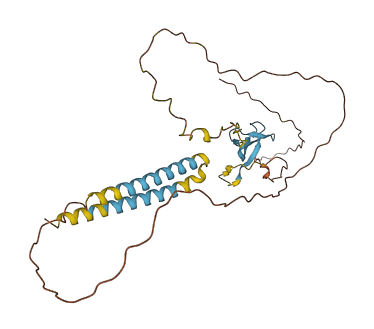 TMEM71 3D structure