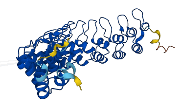 ANKRD16 3D structure