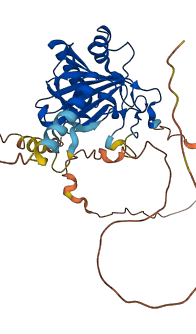 ALKBH5 3D structure