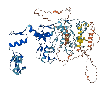 ZNF530 3D structure