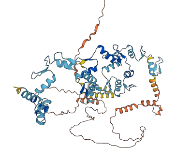 ZNF549 3D structure