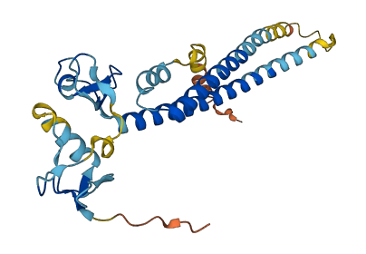 TRIM40 3D structure