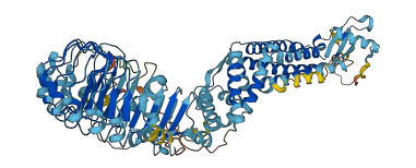 LRRC8B 3D structure
