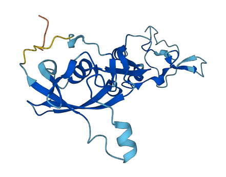 CYB5D1 3D structure