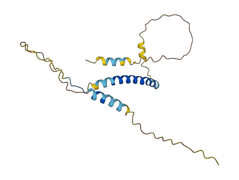 TMEM154 3D structure