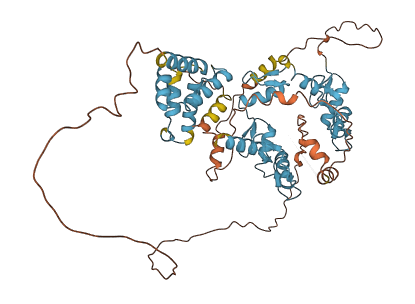 ZNF449 3D structure