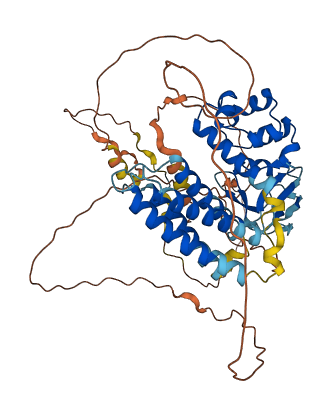 CNKSR3 3D structure