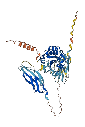 VWA1 3D structure