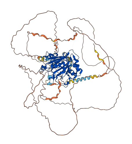RSBN1L 3D structure