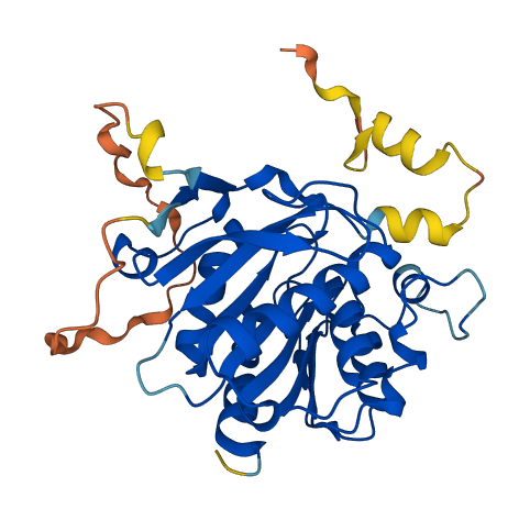 ABHD17C 3D structure