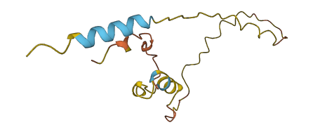 SPAG11A 3D structure