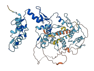 ZNF880 3D structure