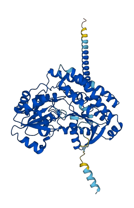 Ugt2a2 3D structure