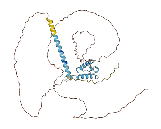 FAM199X 3D structure