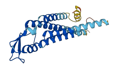 GJB7 3D structure