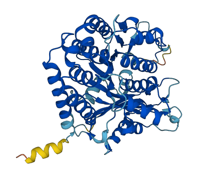TUBA3E 3D structure
