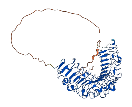 PODNL1 3D structure