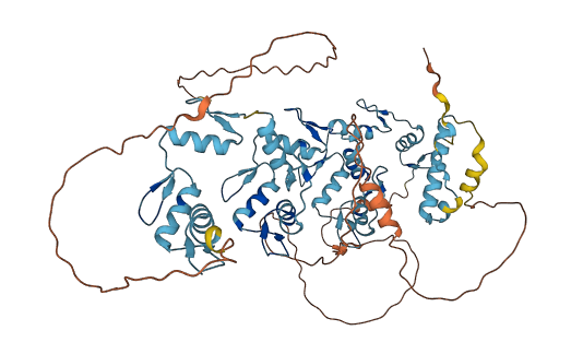 ZNF613 3D structure