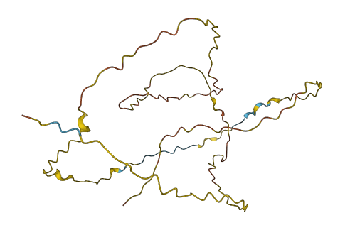 DRICH1 3D structure