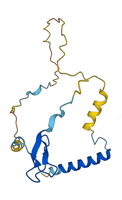 C16orf87 3D structure