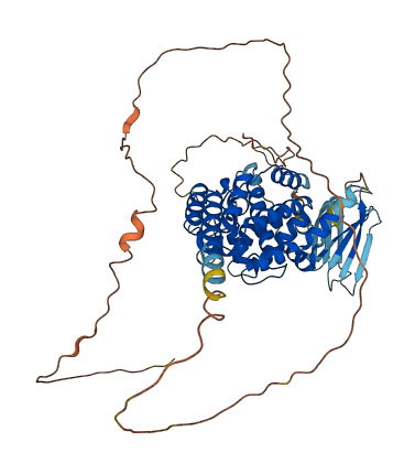 SHQ1 3D structure