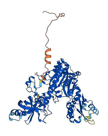 DARS2 3D structure