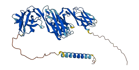 LILRA6 3D structure