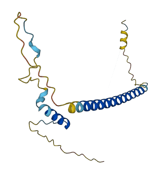 C11orf88 3D structure