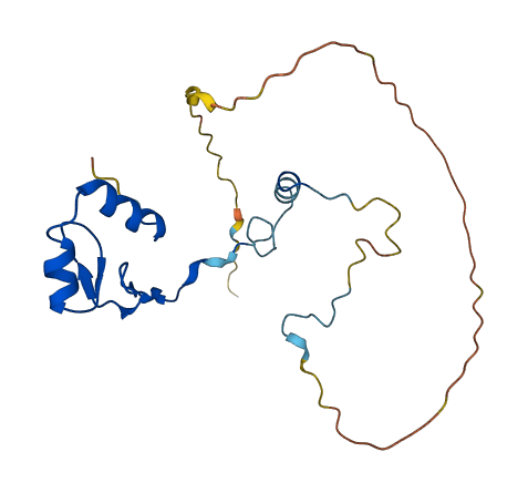 INO80C 3D structure