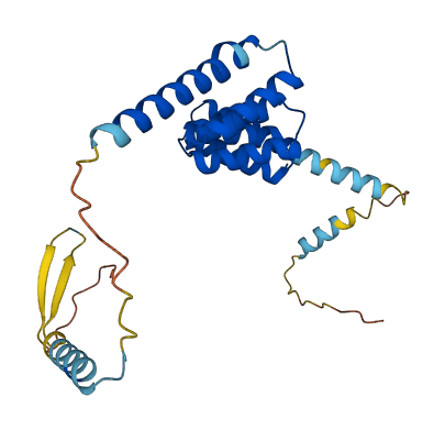 TTC33 3D structure