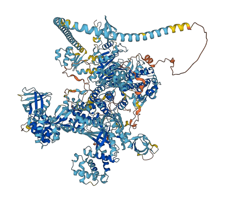 MYO7B 3D structure