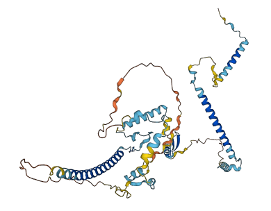 CCDC174 3D structure