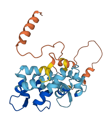 KCNIP4 3D structure