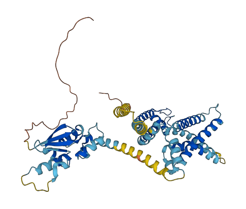 KCNV1 3D structure