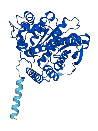 NCEH1 3D structure