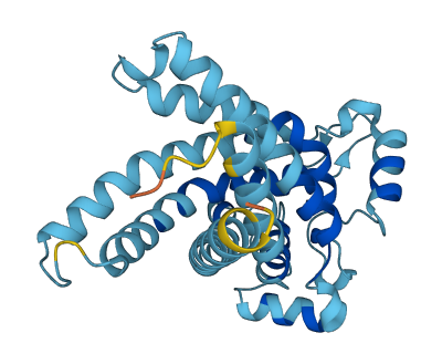SLC25A34 3D structure