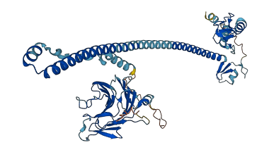 TRIM65 3D structure