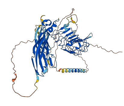 LRFN4 3D structure