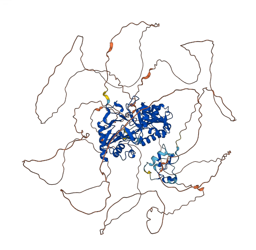 DCLRE1A 3D structure