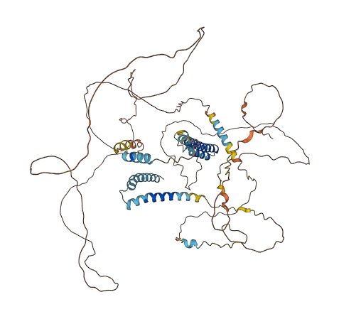 CNST 3D structure