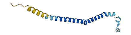 DNM1P34 3D structure