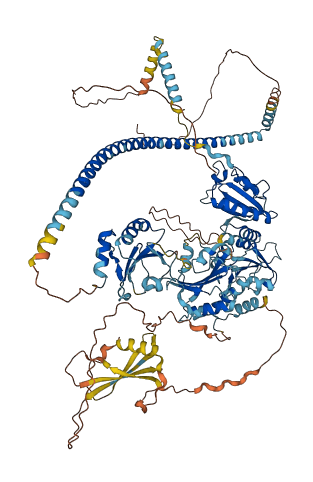 TXNDC11 3D structure