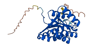 DHRS4L2 3D structure