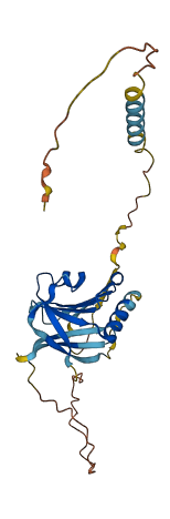 BRICD5 3D structure