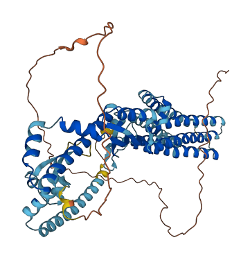 SLC30A9 3D structure