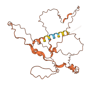 CEMP1 3D structure